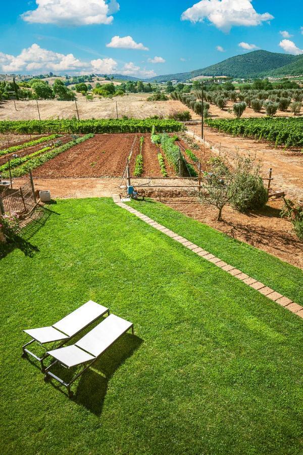 Poggiolivi Agriturismo Bio In Maremma Alberese Buitenkant foto