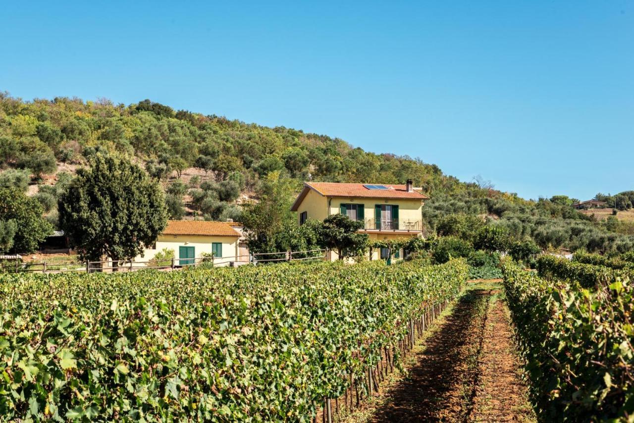 Poggiolivi Agriturismo Bio In Maremma Alberese Buitenkant foto